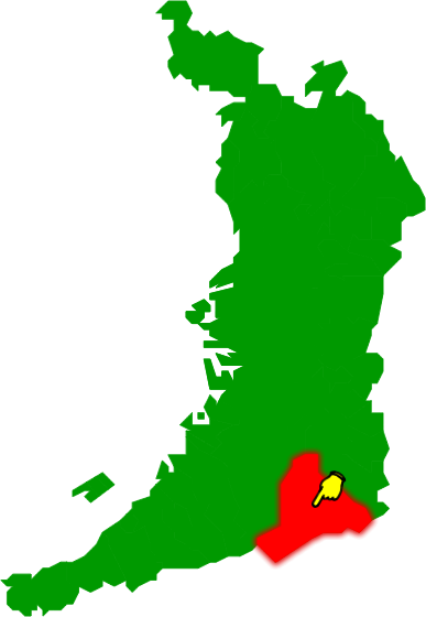 河内長野市の場所を示す画像2
