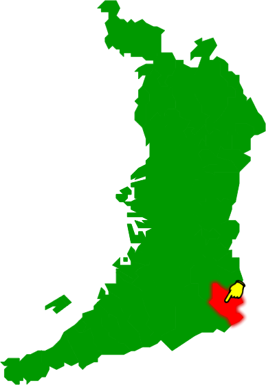 千早赤阪村の場所を示す画像2