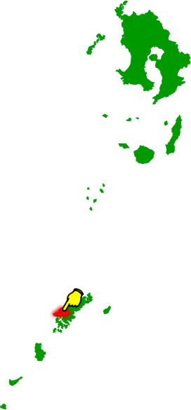 宇検村の場所を示す画像2