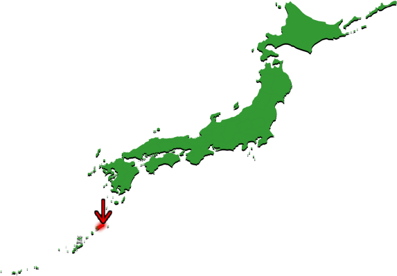 奄美市の場所を示す画像4