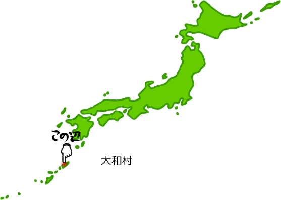 大和村の場所を示す画像5